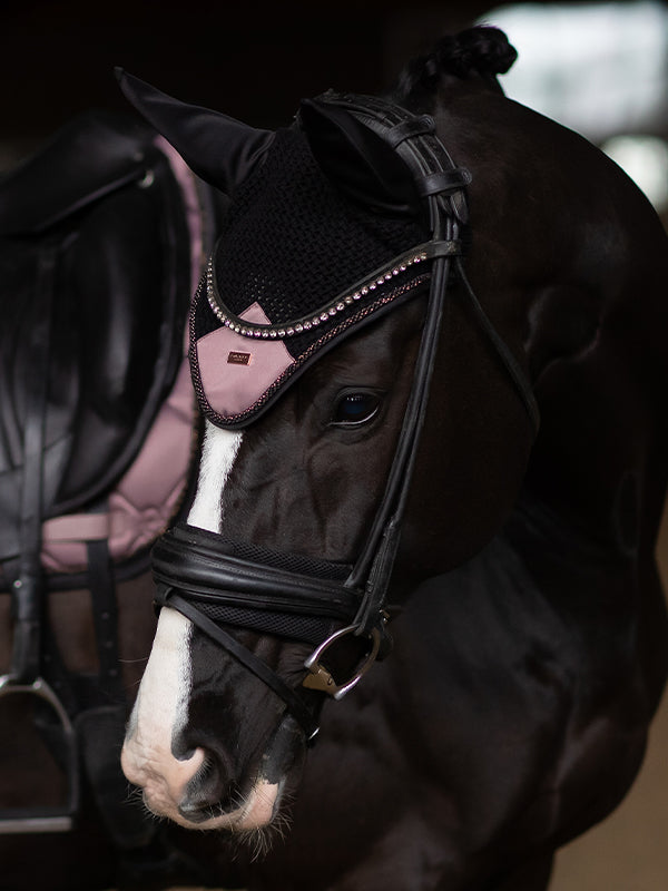 Equestrian Stockholm Anemone Zirgausis