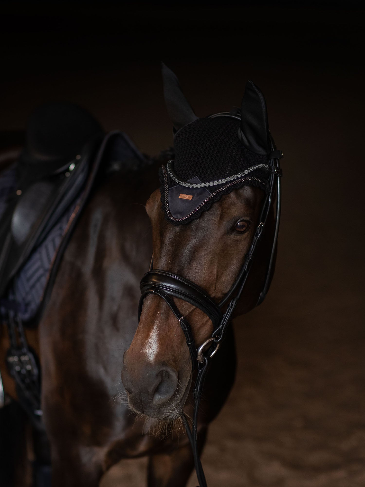 Equestrian Stockholm Dark Ocean Zirgausis