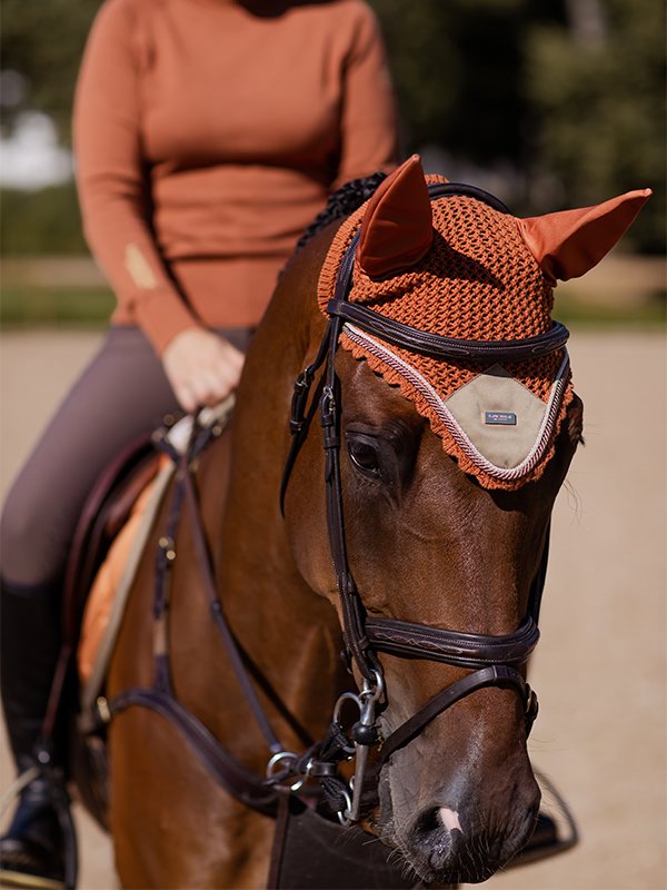 Equestrian Stockholm Bronze Gold zirgausis