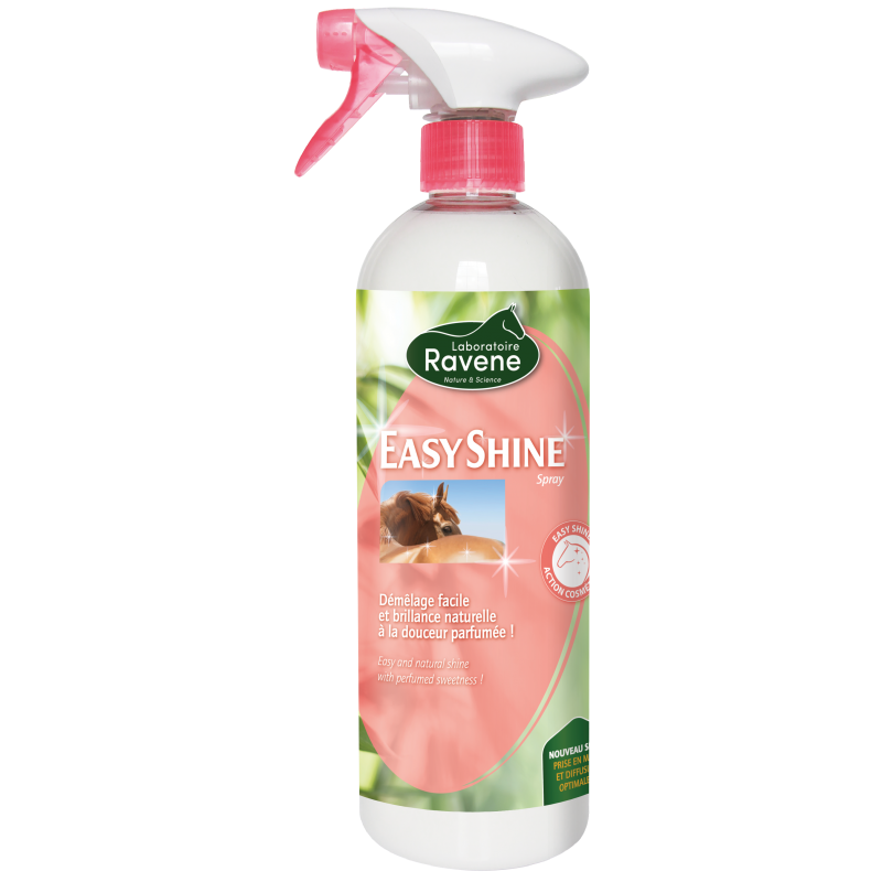 EASY SHINE RAVENE, 750 ml