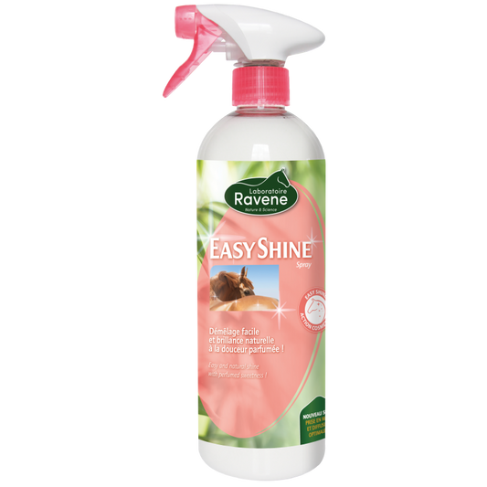 EASY SHINE RAVENE, 750 ml