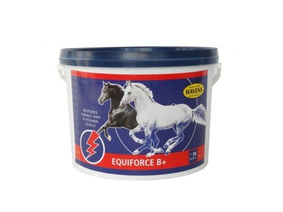 EquiForce B+ 1kg