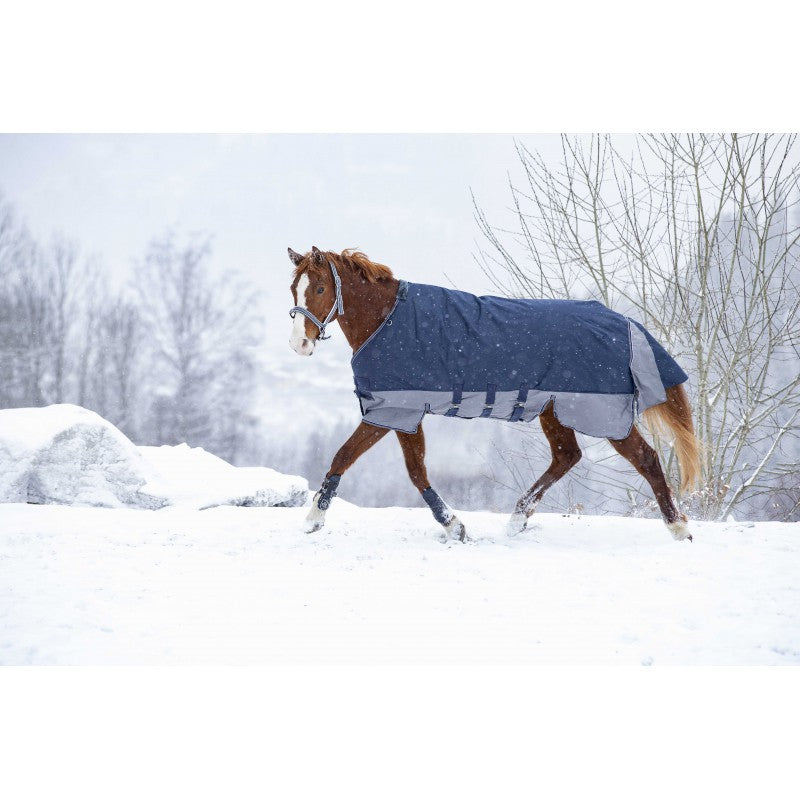 EQUITHÈME rug - TYREX 600D Turnout Rug - Belly belt - Padding : 300g/m2