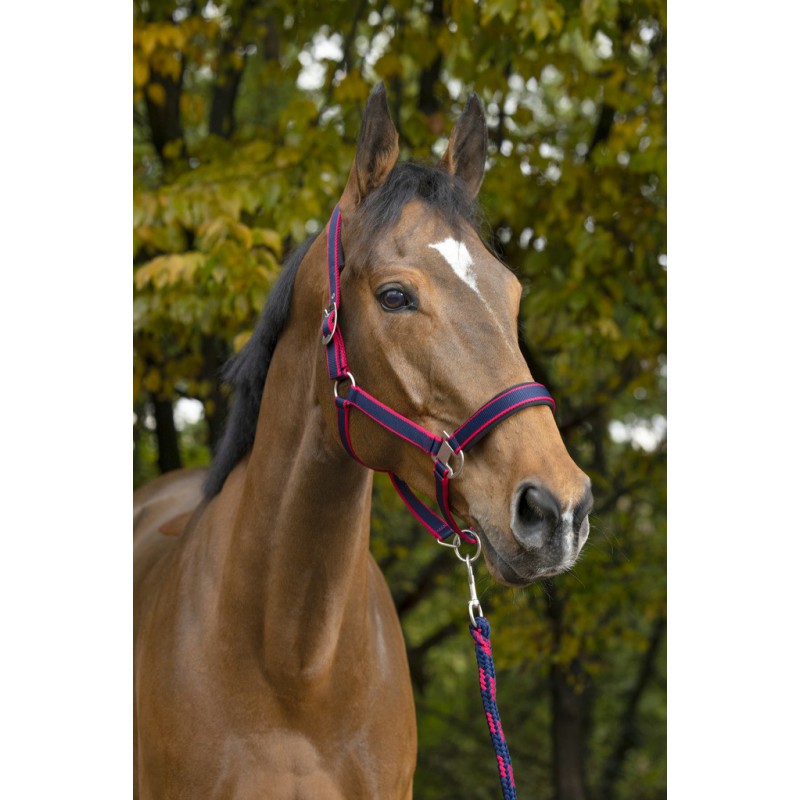 Equitheme Satine apauši 
