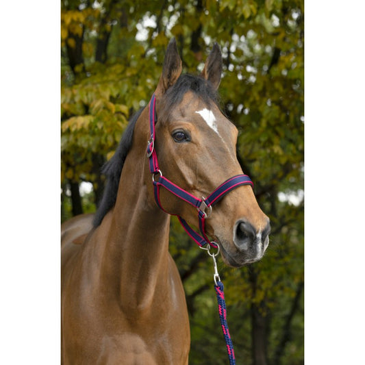 EQUITHÈME "Satiné” headcollar + lead rope