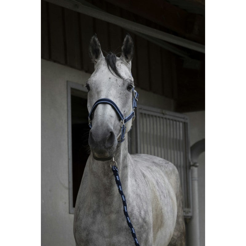 EQUITHÈME "Satiné” headcollar + lead rope