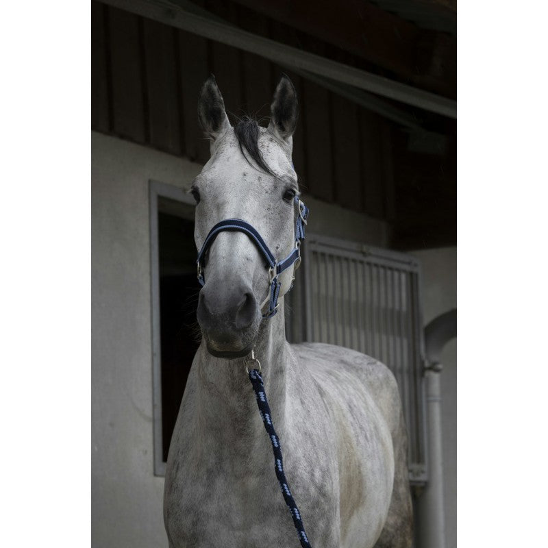 Equitheme Satine apauši 