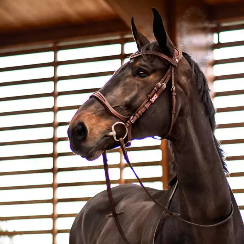 CWD Flexmotion Bridle
