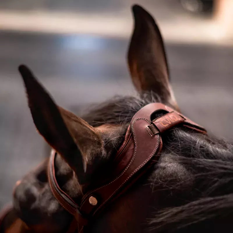 CWD Flexmotion Bridle