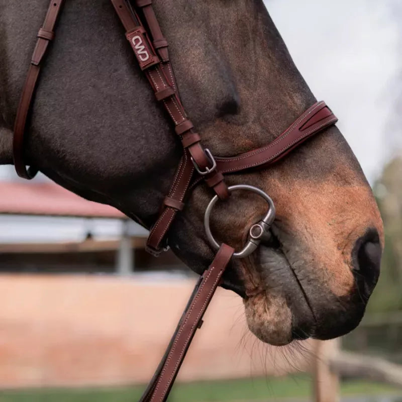 CWD Flexmotion Bridle