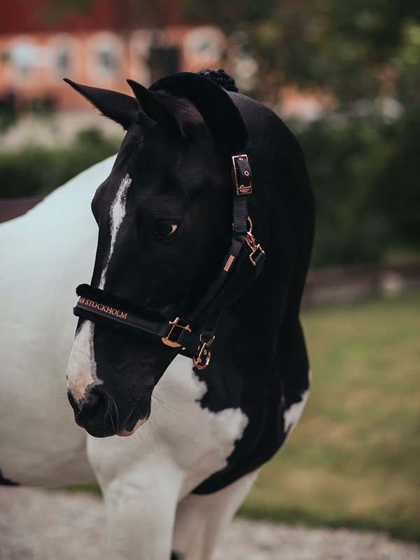 Fur Halter & Lead Rope Dark Sky