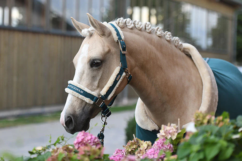 Fur Halter & Lead Rope Emerald