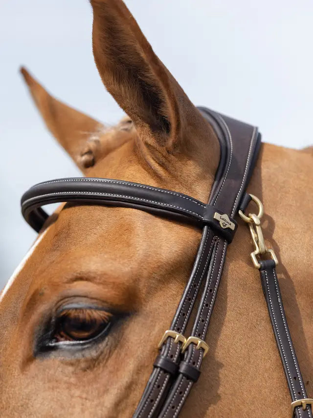 LeMieux Kudos Work Bridle Brown