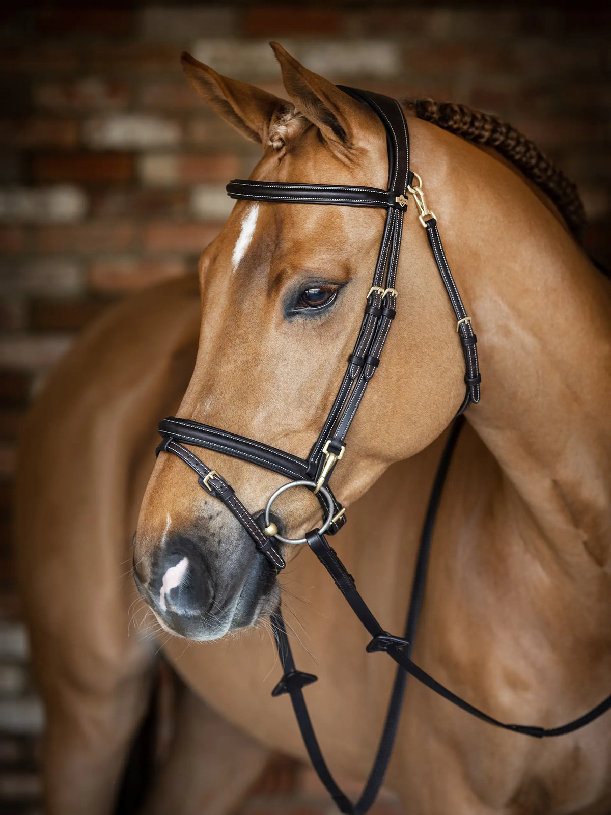 LeMieux Kudos Work Bridle Brown