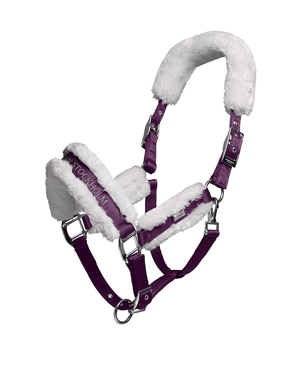 Fur Halter &amp; Lead Rope Orchid Bloom