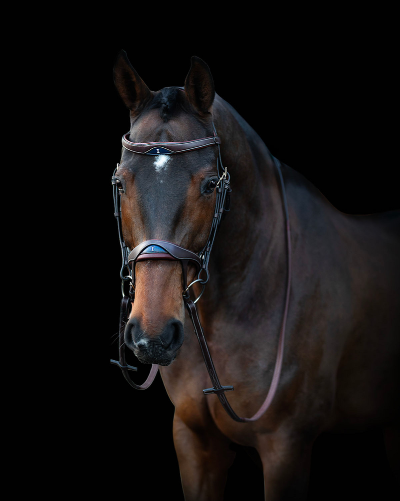 Ikonic Elite Bridle Anatomic With Logo (Brown)