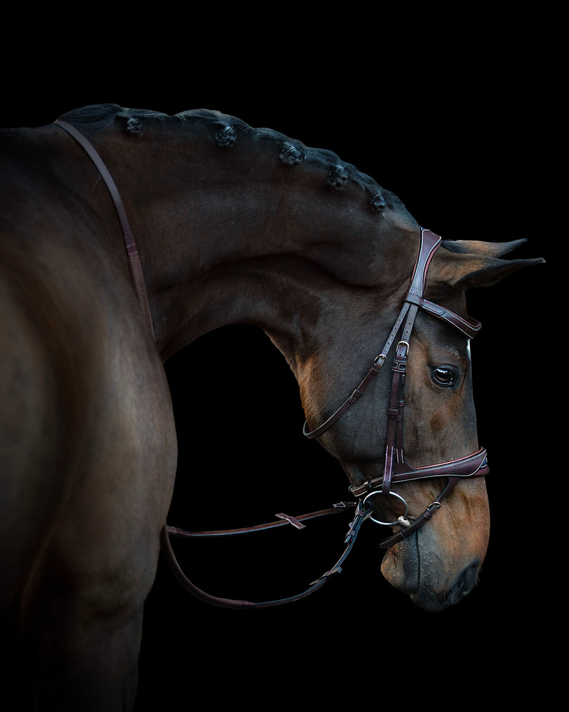 Ikonic Elite Bridle Anatomic With Logo