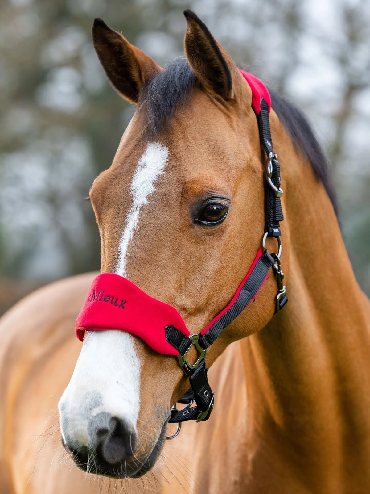 Vogue Headcollar & Leadrope Chilli