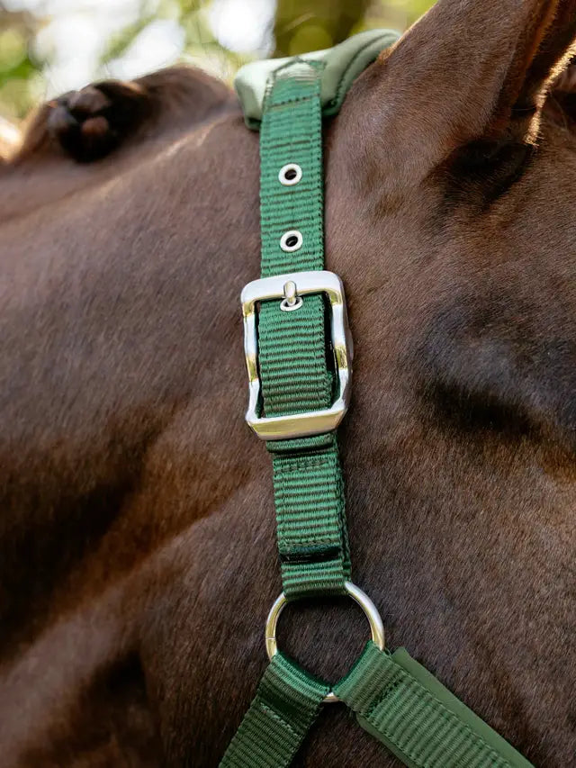LeMiuex Breakaway Vogue Headcollar (Hunter Green)