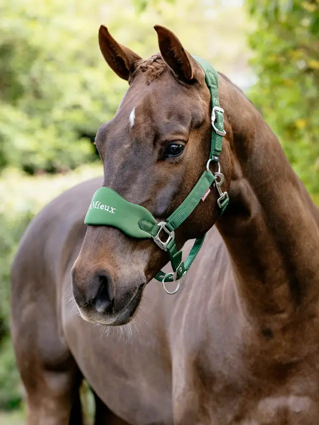 LeMiuex Breakaway Vogue Headcollar (Hunter Green)