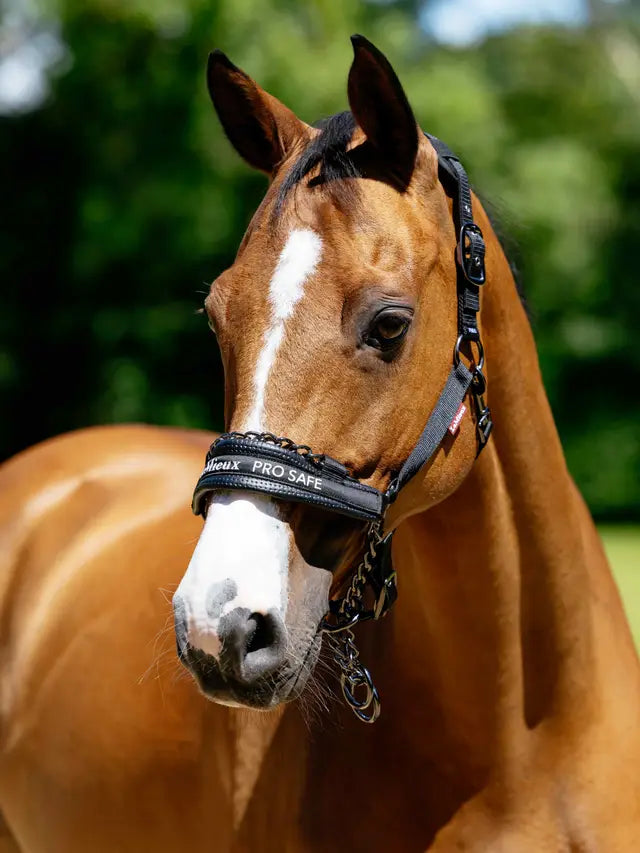 LeMiuex ProSafe Headcollar (Black)