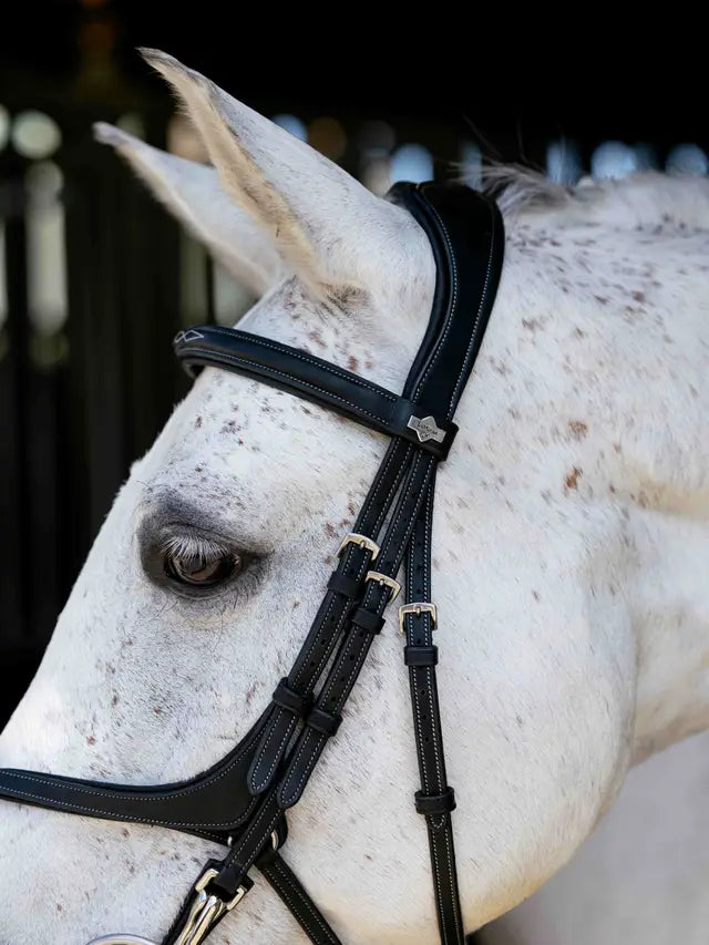 LeMiuex Kudos Grackle Work Bridle (Black)