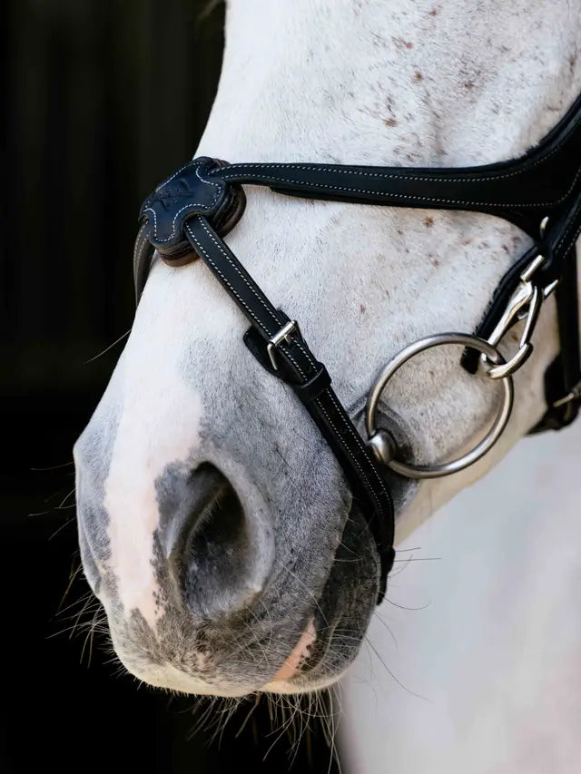 LeMiuex Kudos Grackle Work Bridle (Black)