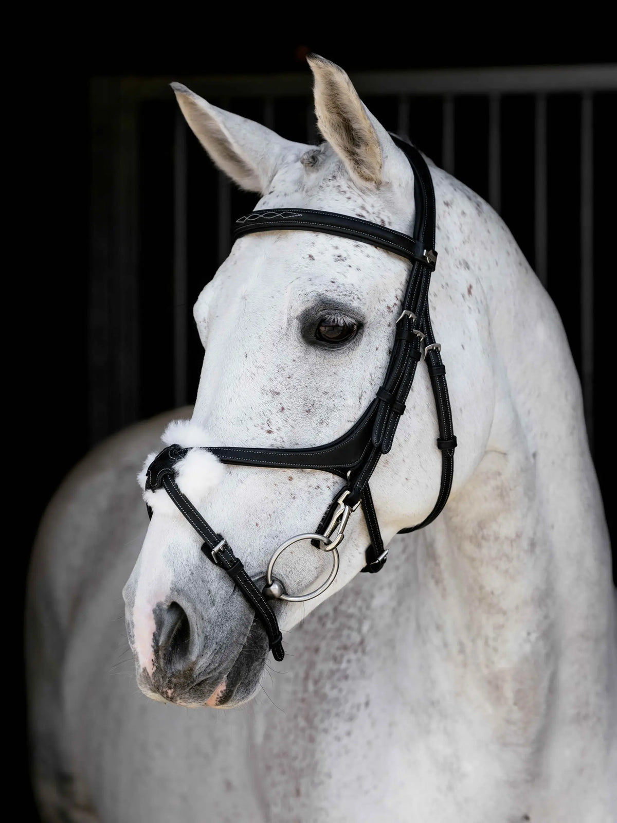LeMiuex Kudos Grackle Work Bridle (Black)