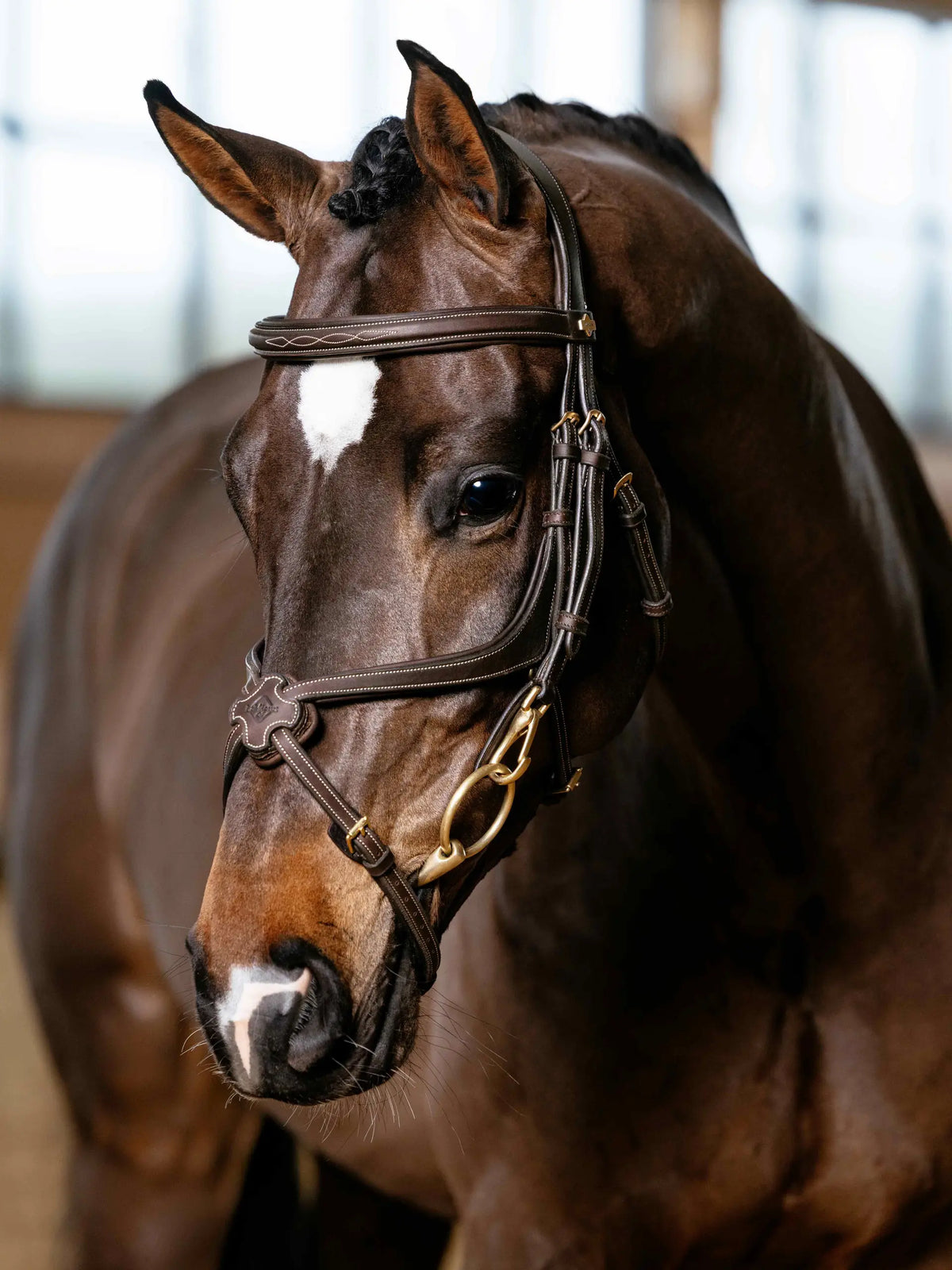 LeMiuex Kudos Grackle Work Bridle (Brown)