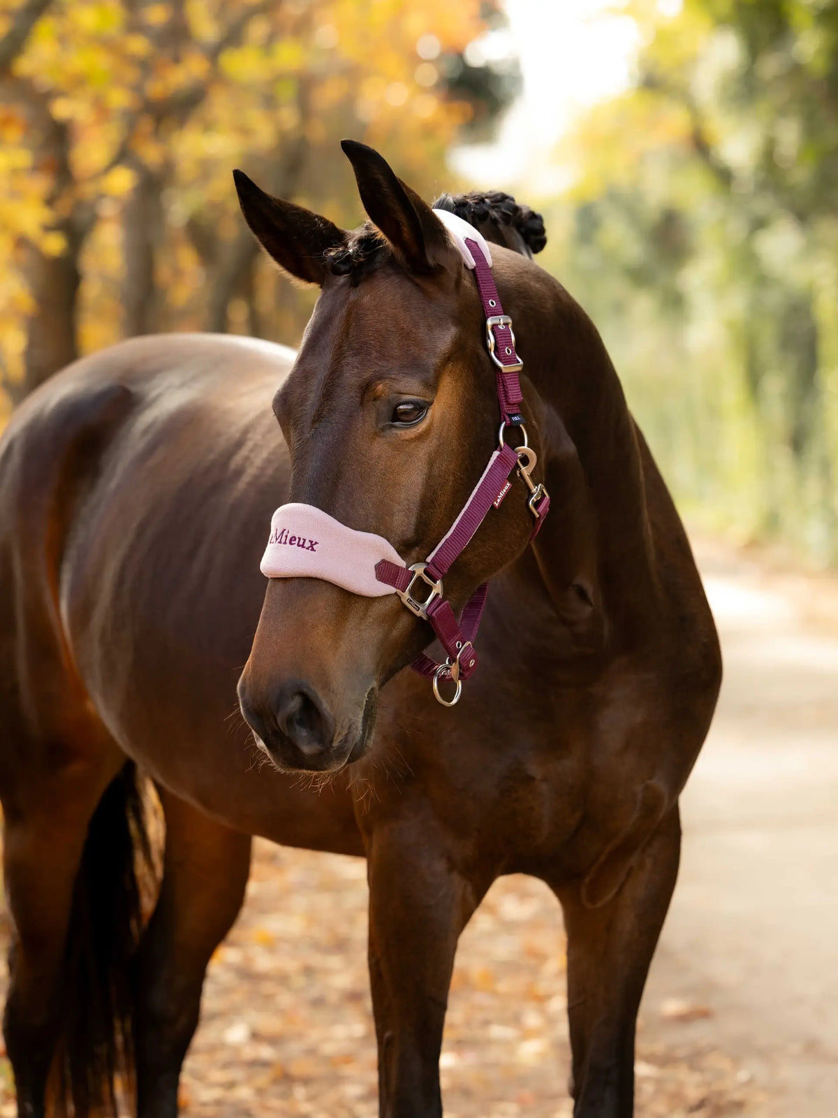 Vogue Headcollar & Leadrope Blackberry