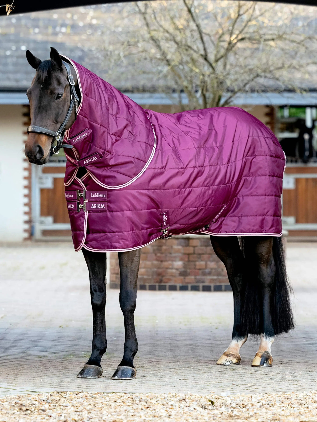 LeMieux Arika Stable-Tek with Neck 200g Blackberry