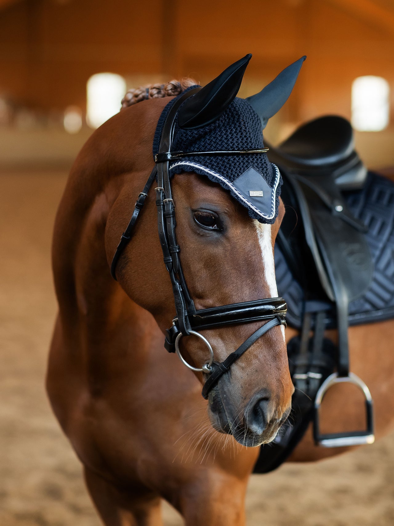 Equestrian Stockholm Ear Bonnet Midnight Blue on horse
