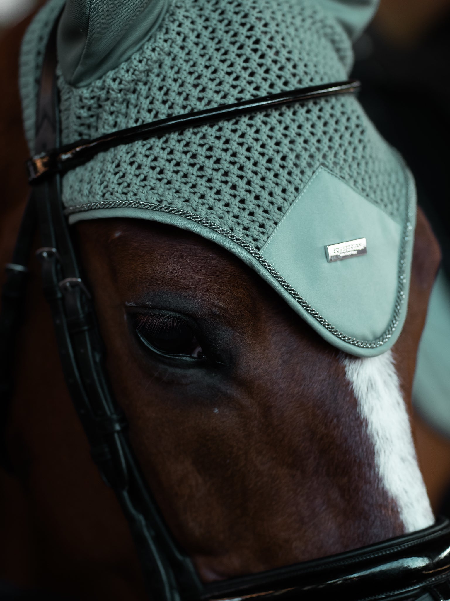 Equestrian Stockholm Ear Bonnet Modern Mint Green