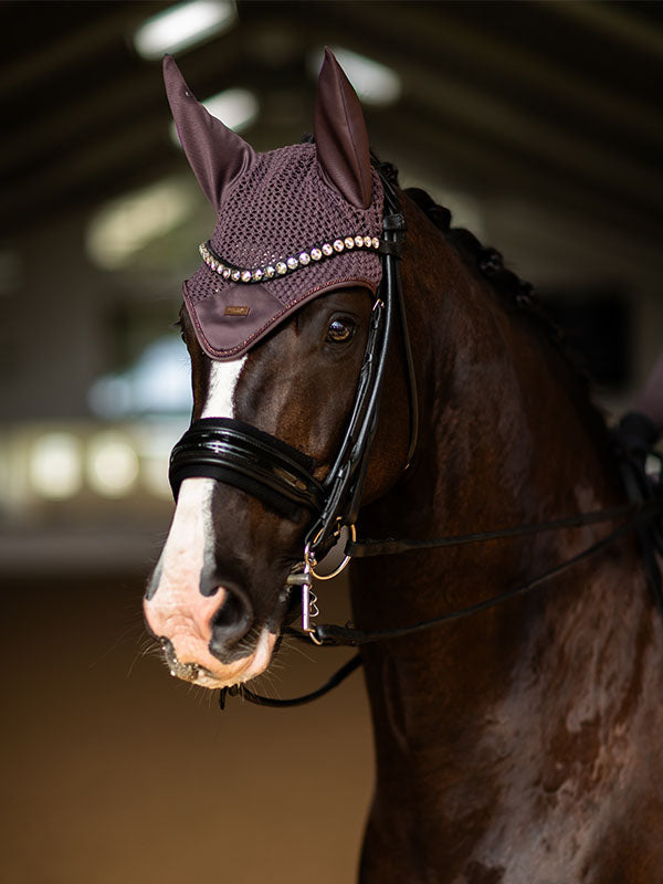 Equestrian Stockholm zirgausis Moonless Night