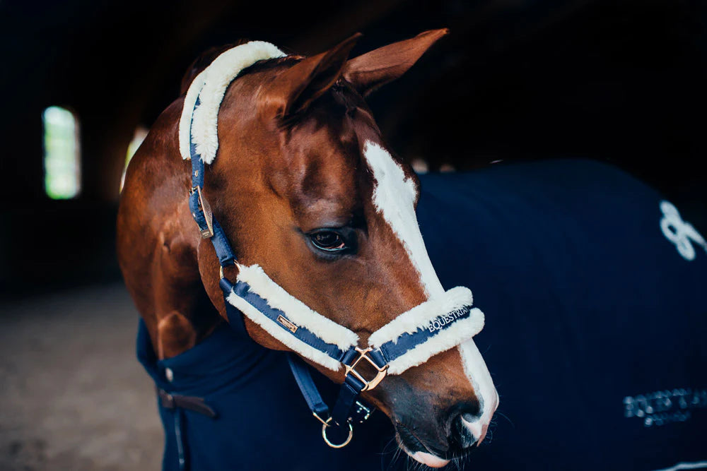 Fur Halter & Lead Rope Navy