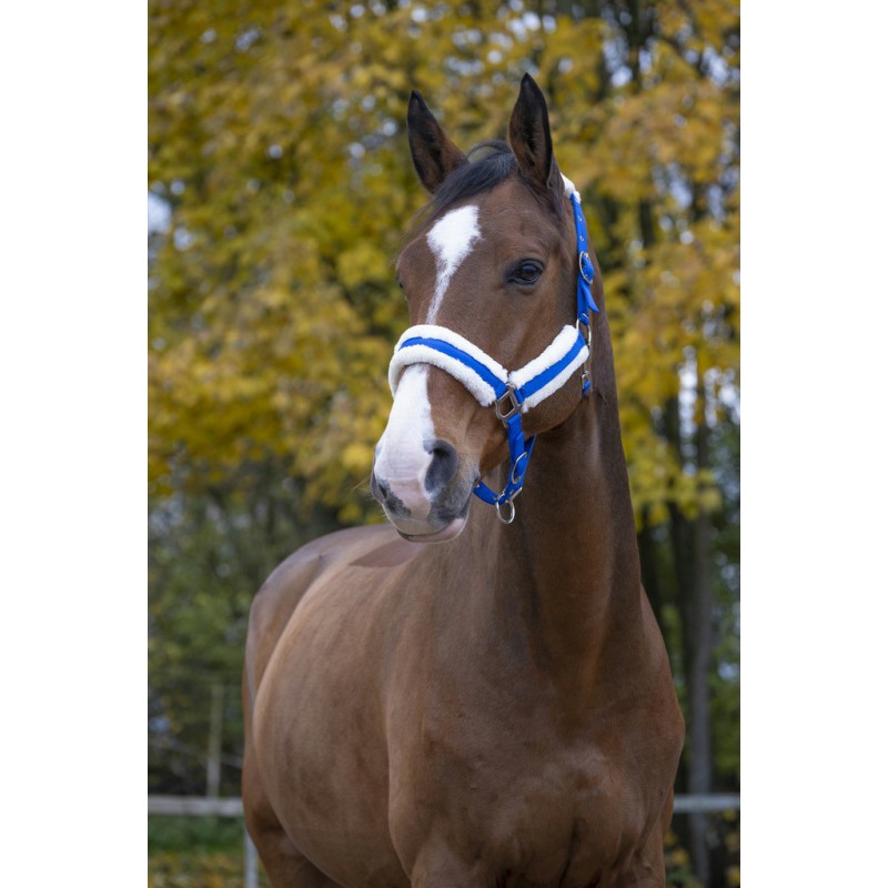 NORTON "Comfort" headcollar