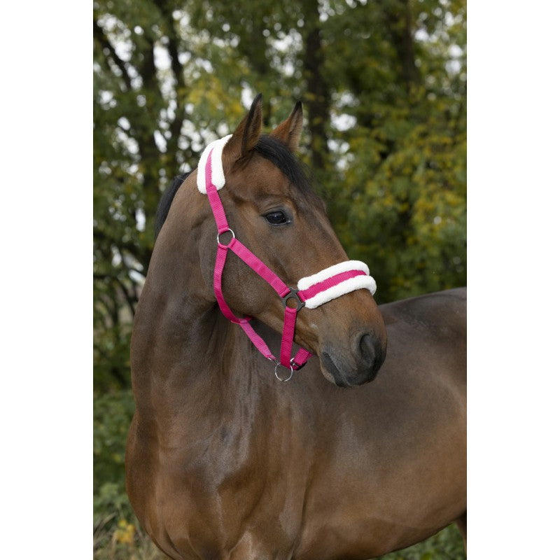 NORTON "Confort" headcollar