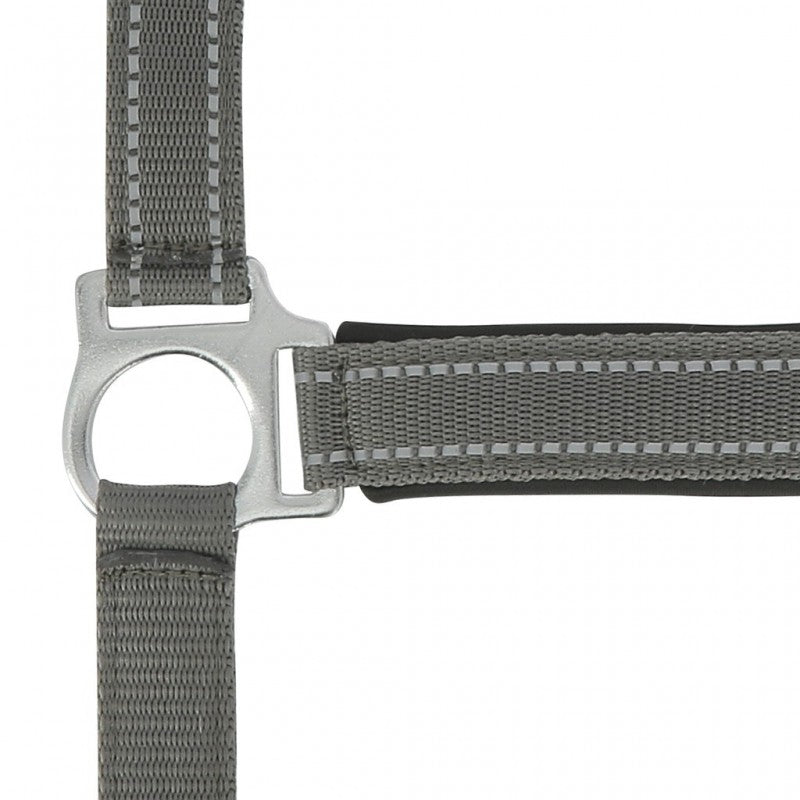 NORTON "Reflective" Halter