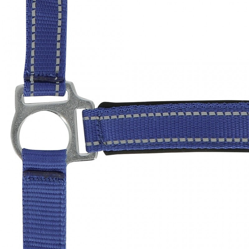 NORTON "Reflective” Halter