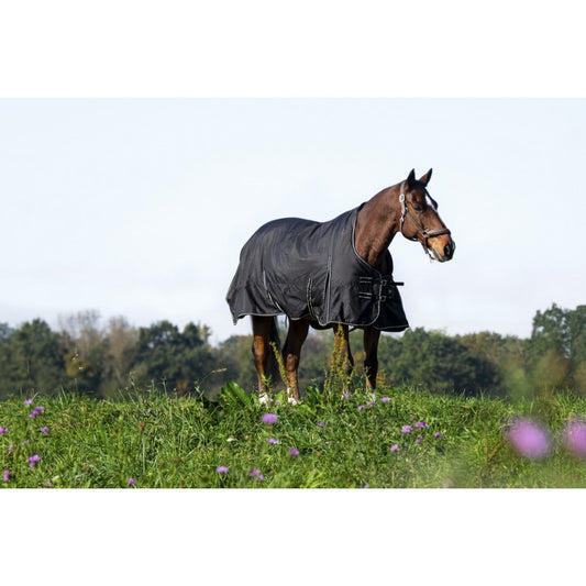 RIDING WORLD "Oxford" Waterproof Rug