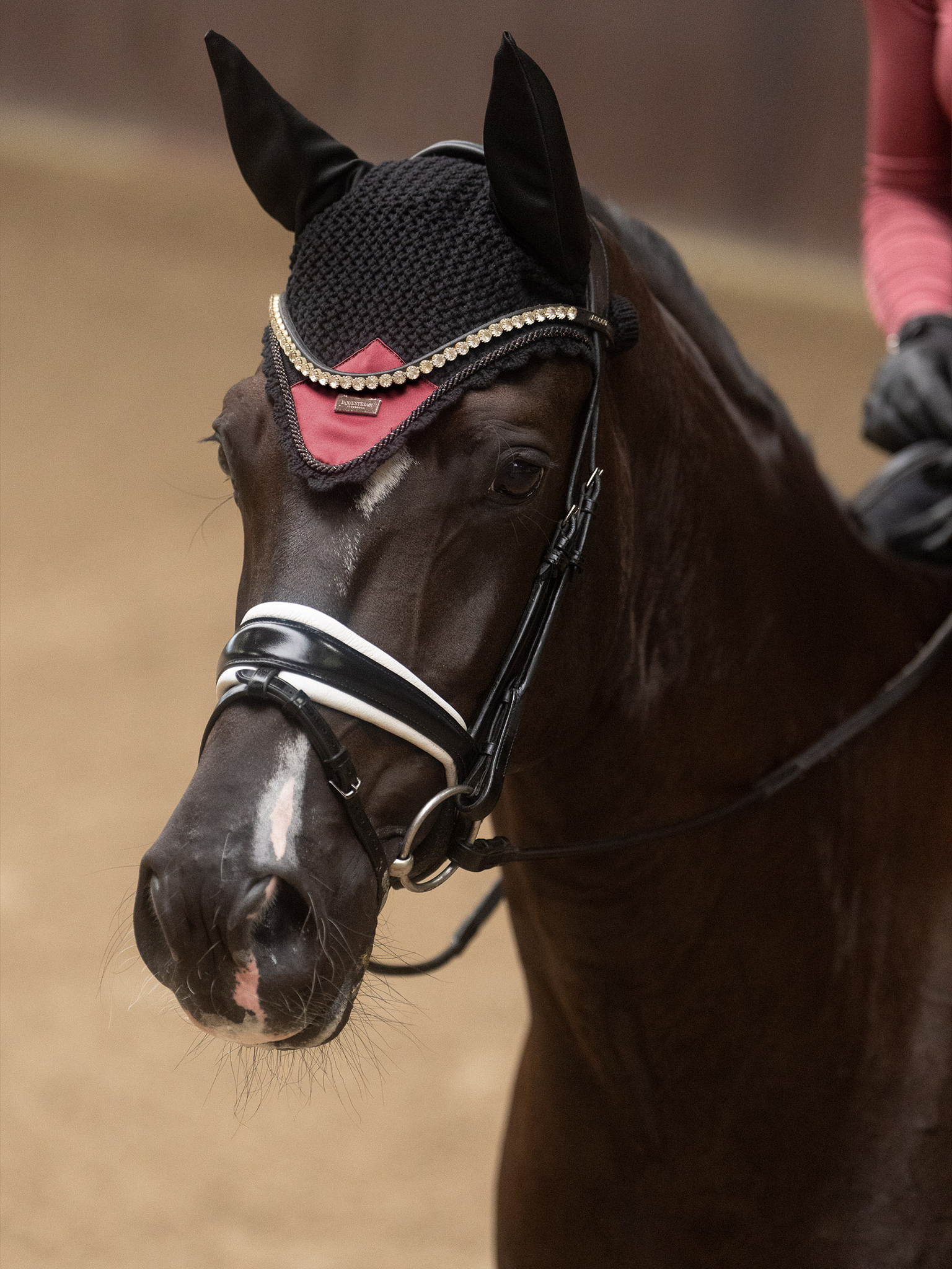 Equestrian Stockholm Soft Rouge Zirgausis
