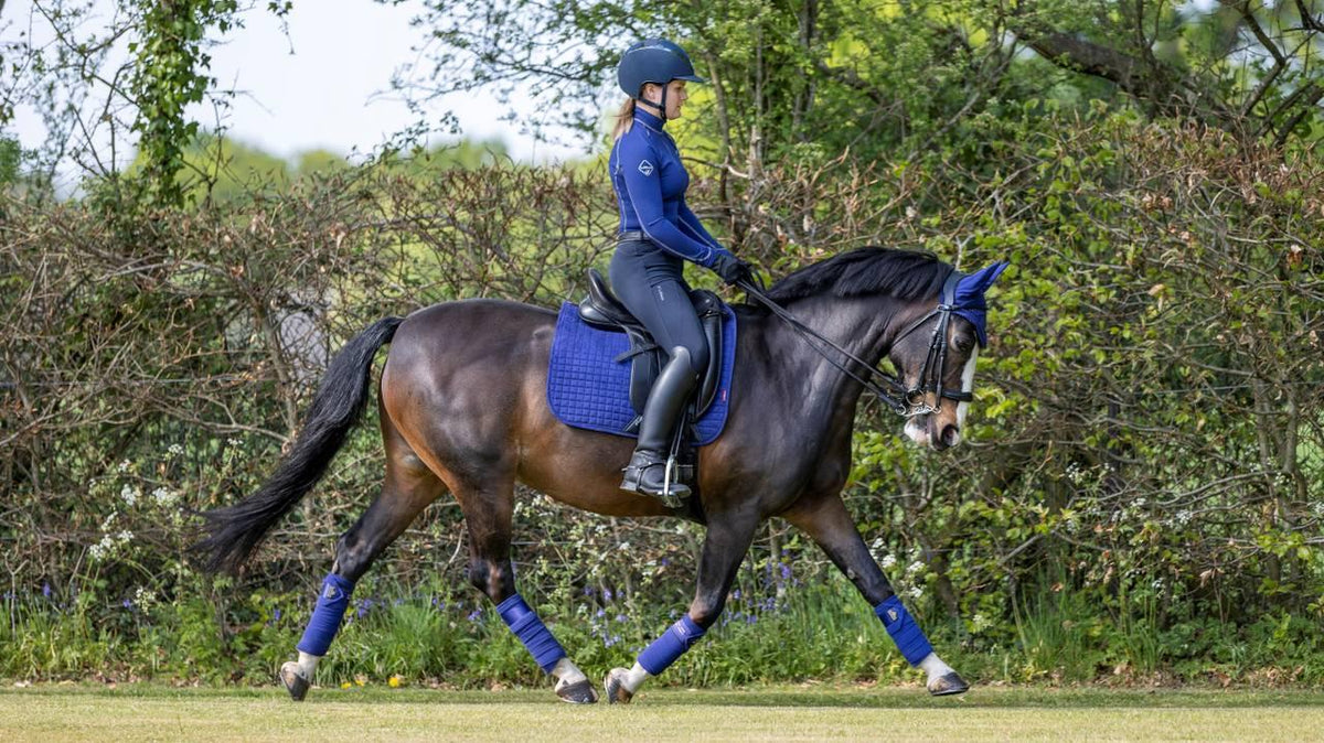 LeMiuex Suede Dressage Square Ink (Blue)