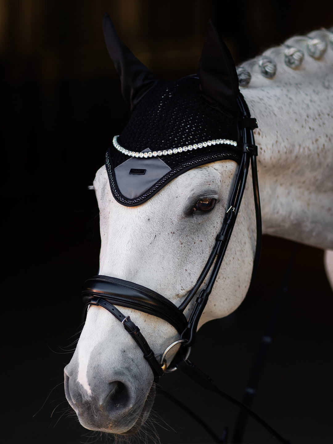 Equestrian Stockholm Wintershadow zirgausis 